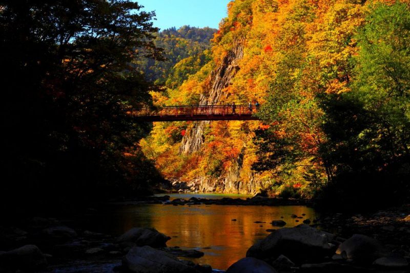 厳選 秋の札幌旅行で絶対に行くべき紅葉スポット12選