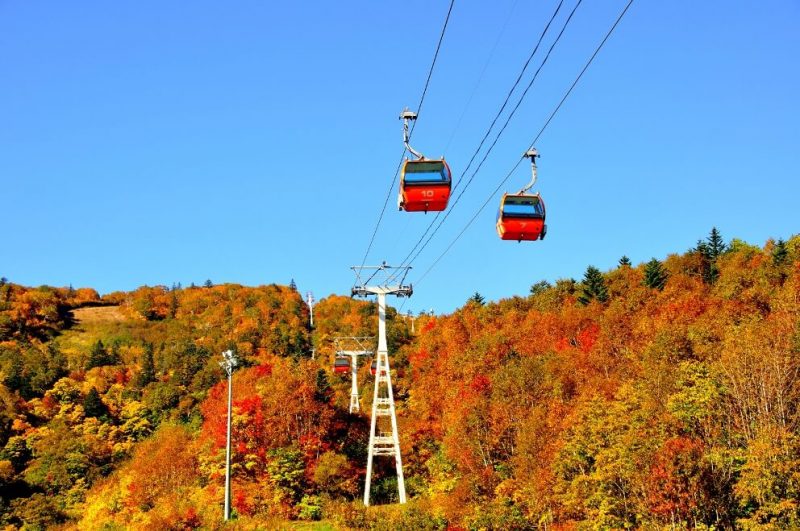 厳選 秋の札幌旅行で絶対に行くべき紅葉スポット12選